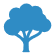 Baum